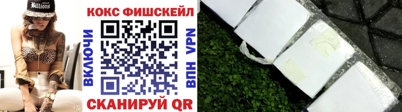 купить наркотик  Ирбит  COCAIN Fish Scale 