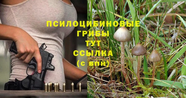 прущая мука Всеволожск