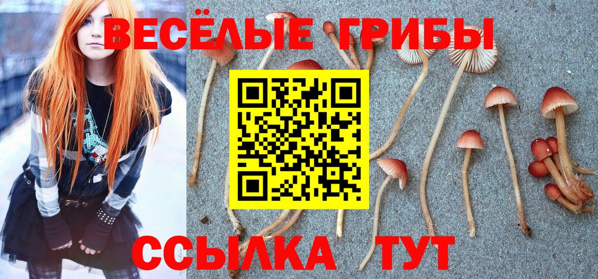 Галлюциногенные грибы ЛСД  Ирбит  Псилоцибиновые грибы мицелий 