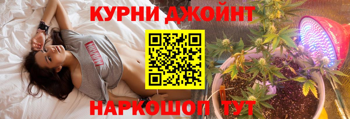 Каннабис планчик Ирбит