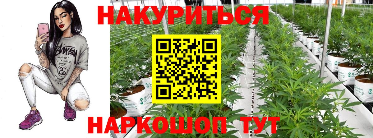 Бошки марихуана марихуана  Конопля White Widow  Канабис тримм  Вход с VPN  Ирбит 